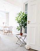 Houseplant on tray table in dining room