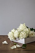 Bunch of white roses on white shabby-chic tray