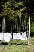 weiße Wäsche hängt an der Leine auf der Wiese vor dem Wald