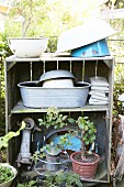 Various enamel bowls, zinc tub and bonsai tree on vintage wooden shelves in garden