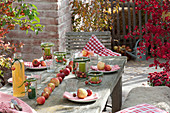 Rural table decoration with Malus (apple) in row