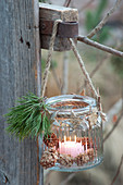 Household glass hung as a lantern, Pinus, stars from bark