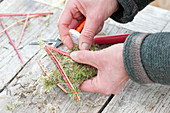 Making stars out of colorful dogwood branches