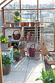 Early spring in the greenhouse