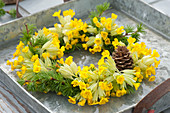Potted wreath from Primula veris
