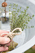 Posy of thyme hald in hand