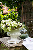 White hydrangeas in antique urn on wooden table in garden