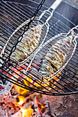 Mackerel in fish baskets on grille over fire pit