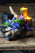 Arrangement of blue orchid flowers on piece of bog wood and candles