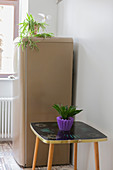 Houseplants on top of coffee table and retro fridge in kitchen