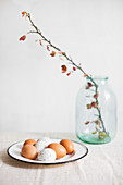 Brown eggs and white, speckled eggs on enamel plate and flowering branch in glass jar