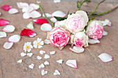 Roses and petals on stone surface