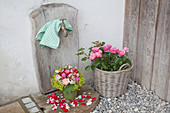 Bouquet of roses, lady's mantle and fruit blossom and basket of roses arranged around garden tap