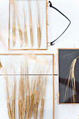 Wall decorations made from dried ears of wheat