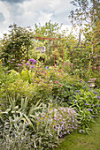 Perennials, roses and alliums in spring flowerbed