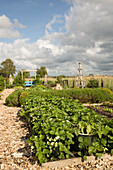 Vegetable patch and ornamental garden with mulched paths (Schleswig-Holstein, northern Germany)