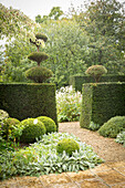 Topiary garden (Les Jardins de Castillon, France)