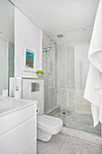 Toilet and shower cubicle in white bathroom