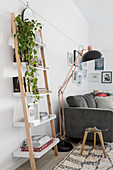 Houseplant and books on ladder shelving next to standard lamp and sofa in living room