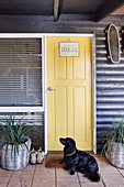 Dog in front of a yellow painted entrance door