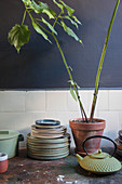 Crockery and houseplants on old wooden table in kitchen with dark wall
