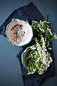 Yarrow in two bowls with ruffled and blue-painted rims