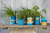 Kitchen herbs in tin cans decorated in blue and gold