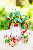 Posy of freshly picked wild strawberries in vintage ceramic jug on wooden table in garden