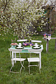 Table festively set for afternoon coffee under flowering apple tree in garden