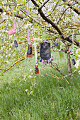 Bottles of pop and menu board hung from apple tree