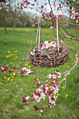 Flowers in nest made from birch branches hung from apple tree