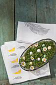 Dish of cress on napkins printed with feather pattern