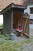 Colourful flowers in wooden tub in tool shed