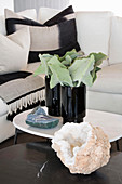 Stone encrusted with crystals and vases of leaves on coffee table