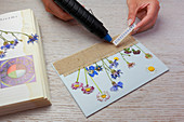Decorating postcard with pressed flowers and frayed hessian
