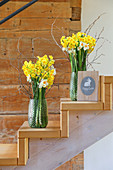 Narcissus, cream narcissus and birch twigs in two vases