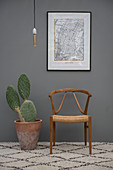 Cactus in terracotta pot and designer chair against grey wall