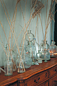 Grasses arranged in collection of various glass bottles