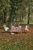 Herbstlich dekorierter Tisch mit zwei Stühlen im Garten