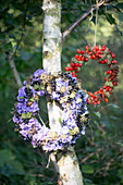 Hortensienkranz mit schwarzen Johannisbeeren und Hagebuttenkranz am Baum hängend