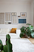White leather couch and houseplant below old, framed sketches on wall