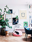 Große Zimmerpflanze vor Wand mit Bildern, Ablage mit Sterndeko und Hund auf Kissen im Wohnzimmer