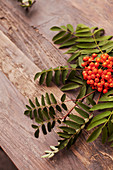Sprig of rowan berries on wooden surface