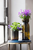 Violas and campanula in vases made from cut-off wine bottles