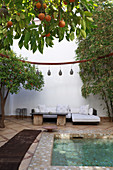 Orangenbaum und Pool im Innenhof im Hotel Ryad Dyor (Marrakesch, Marokko)