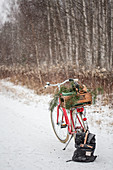 Bicycle with wooden crate and branches on luggage rack on snowy woodland path