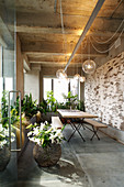 Table and benches below pendant lamps and large houseplants in loggia