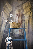 Cotton bolls in basket and dreamcatcher on blue ladder