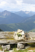 Tiny posy of wildflowers on walker's knapsack on wooden bench against Alpine backdrop