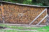 Stacked and covered firewood